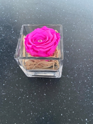 Raffia Everlasting Rose