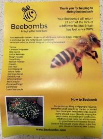 Bee Bomb